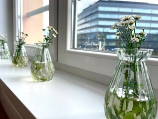 There are bouquets of wild flowers in transparent vases on the windowsill