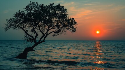 Fototapeta na wymiar Silhouette of tree in sea at sunset background