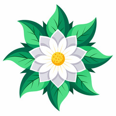 flower--white-background-vector-illustration