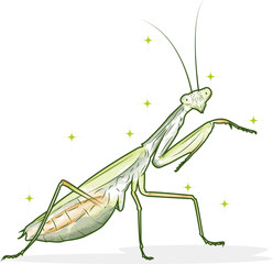 Web, vector, ilustration