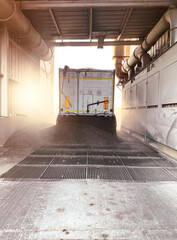 Grain delivery. High oleic sunflower seed is poured from a truck into a silo