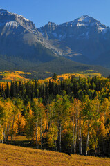 Late afternoon light on fall colors up the slopes of Whitehouse Mountain and Mt. Ridgway on the Sneffels Range of the San Juan mountains, from a country road near Ridgway, Colorado, USA.