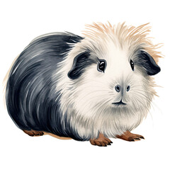 AI-generated watercolor cute black, white and brown Guinea Pig clip art illustration. Isolated elements on a white background.