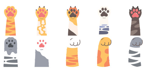 Fototapeta premium Paw Cat Vector