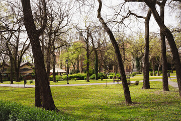 Beautiful Sombor Serbia city park and historic downtown view