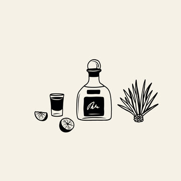 Line art doodle tequila bottle, shot, agave, lime