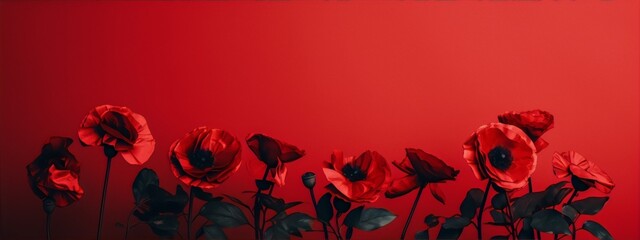 Red poppies, a still life arrangement.