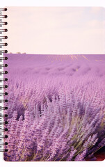 Vast lavender field, tranquil beauty of nature.
