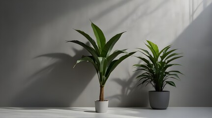 2 vertical sheets of textured white paper on soft gray table background. Mockup overlay with the plant shadows. Natural light casts shadows from an exotic plant..Generative AI