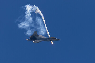 Side view of a F-22 Raptor 