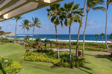 Looking out through the lush palm trees and manicured gardens at Shipwreck Beach in Koloa, Hawaii, USA