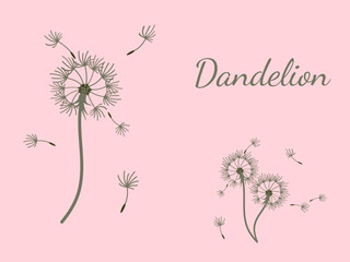 Dandelion_background2-23.eps - 779121867