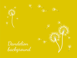 Dandelion_background6-17.eps - 779122642