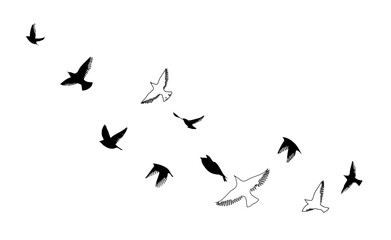 Flying birds silhouette flock. hand drawing. Not AI, Vector illustration