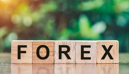 Wooden blocks with word FOREX.