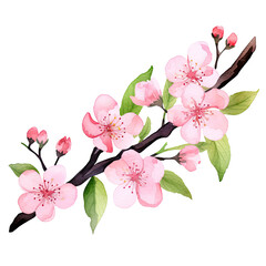 Naklejka premium AI-generated watercolor cute pink cherry blossom flowers clip art illustration. Isolated elements on a white background.