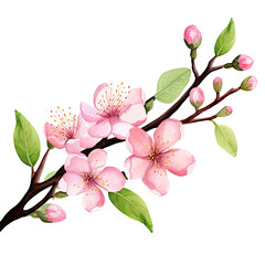 AI-generated watercolor cute pink cherry blossom  flowers clip art illustration. Isolated elements on a white background.