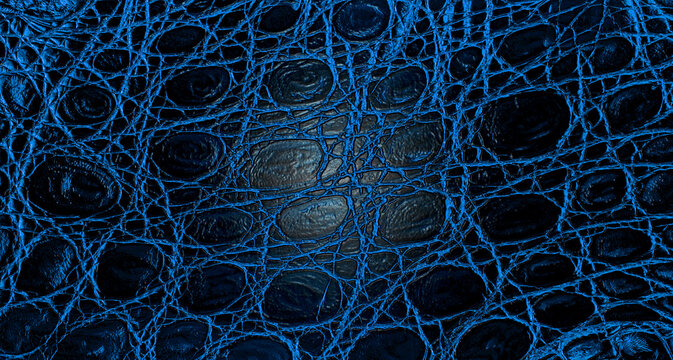 Texture of blue crocodile leather, as background. Alligator skin surface.