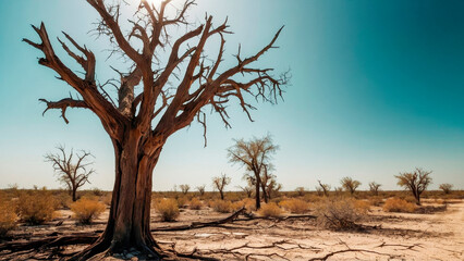 This global crisis, marked by drought and risk, calls for urgent action to avert a path toward irreversible damage and death