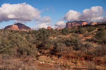 Sedona red rock in Arizona