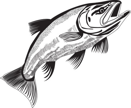 recommend clip art: fish vector design making 