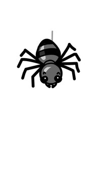 spider flat cartoon vector motion