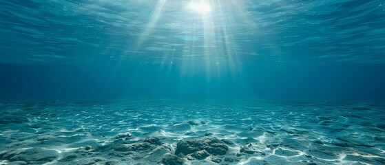 Fototapeta na wymiar The sun illuminates the water above the sandy ocean floor, casting a pattern on the surface