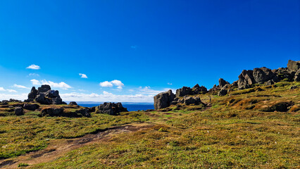 Magnificent view of the horizon from the grass carpet during the hiking trail on the Isle of May, Isle of May Natural Nature Reserve, Scotland, UK