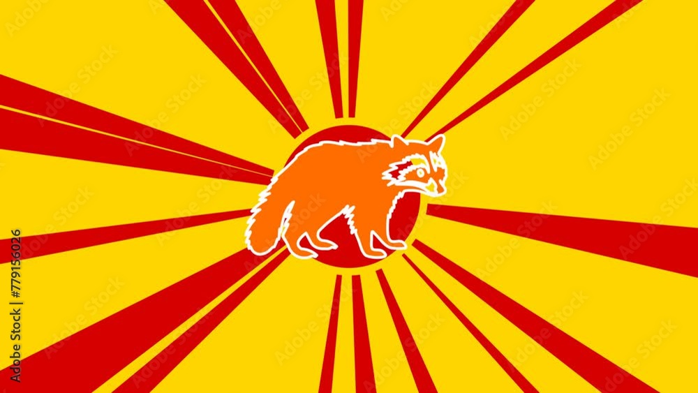 Poster raccoon symbol on the background of animation from moving rays of the sun. large orange symbol incre