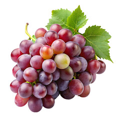 Grape fruits isolated on transparent background
