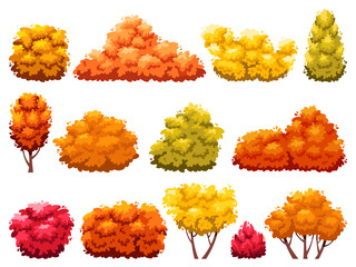 Cartoon autumn bushes. Garden yellow orange and red plants, fading hedge, change of season, deciduous garden trees, withered decorative shrub, park plants, landscape isolated vector set