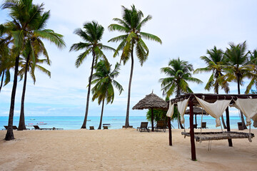 Beautiful palm beach - 779157423