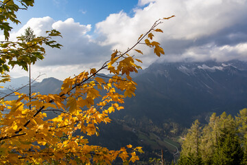 Golden colored tree leaves with panoramic view of cloud covered mountain ranges of Karawanks in Carinthia, Austria. Remote tranquil alpine landscape in Bodental in Austrian Alps. Wanderlust in autumn