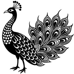 peacock  silhouette vector illustration svg file