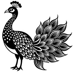 peacock  silhouette vector illustration svg file