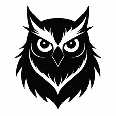 owl on a white background