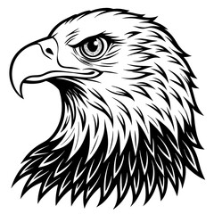 bald eagle silhouette vector illustration svg file