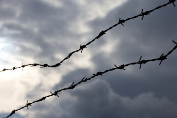 Silhouette of rusty barbed wire against the dramatic sky with dark clouds. Background for prison,...