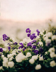 flowers in the garden