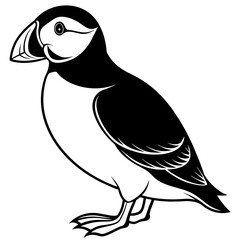 atlantic puffin silhouette vector illustration svg file