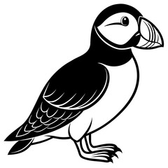 atlantic puffin silhouette vector illustration svg file