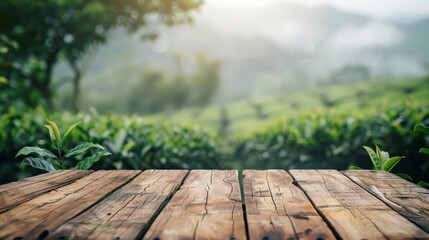 Tea garden green plantation with wooden table shelf background concept