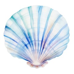 Fototapeta premium Watercolor, blue shell on a white background.