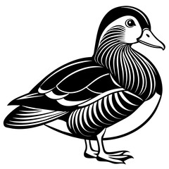 mandarin duck  silhouette vector illustration svg file
