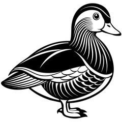 mandarin duck  silhouette vector illustration svg file