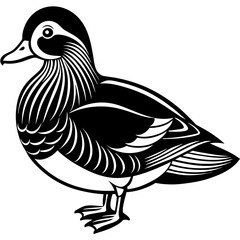 mandarin duck  silhouette vector illustration svg file