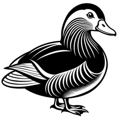 mandarin duck  silhouette vector illustration svg file