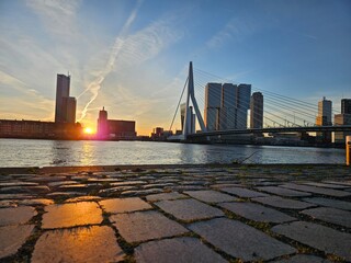 erasmusbridge Rotterdam sunrise