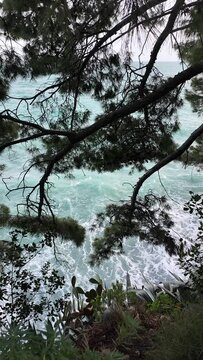 Paesaggio marino della Costiera Amalfitana - Positano - Il mare mosso dietro gli alberi mossi dal vento