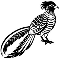 quetzal silhouette vector illustration svg file